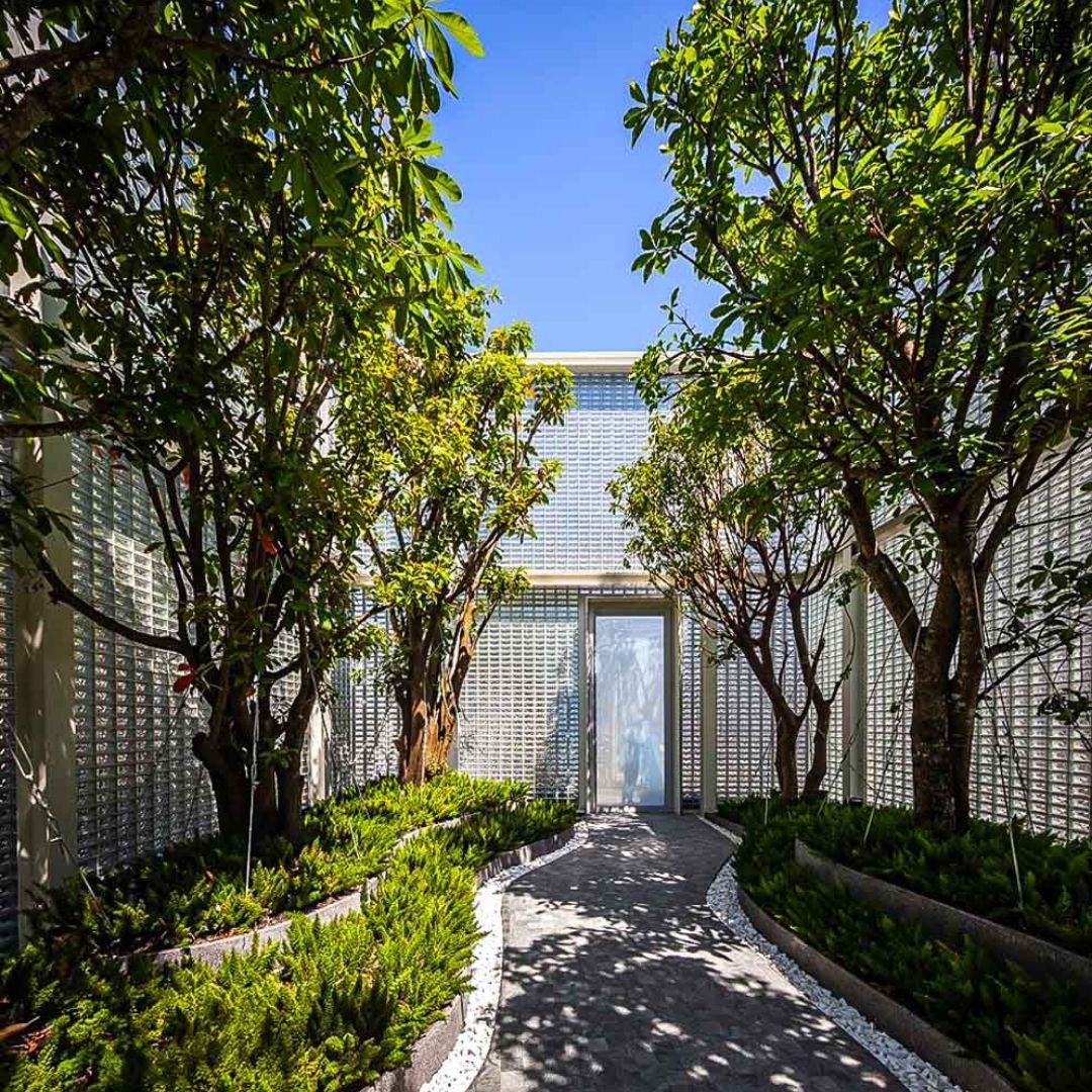 courtyard with trees