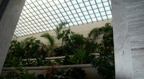 Glass Block Ceiling